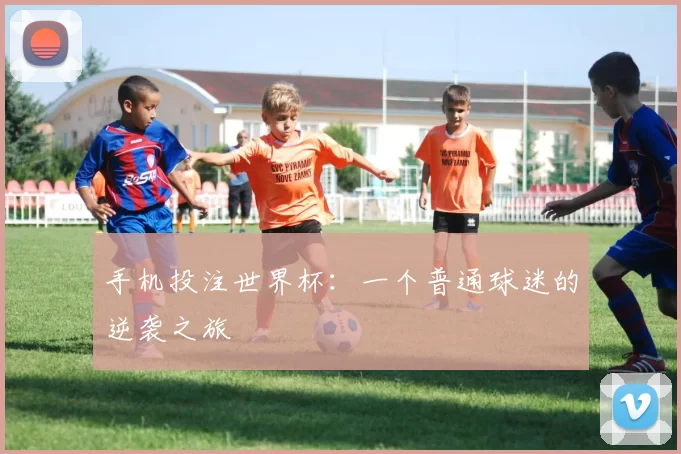 手机投注世界杯:一个普通球迷的逆袭之旅