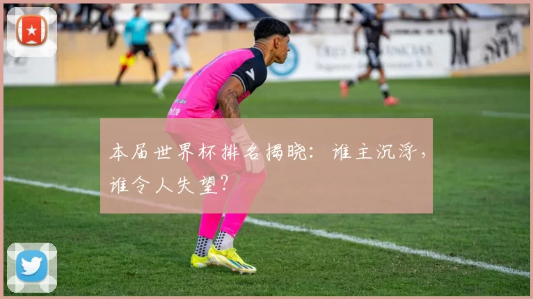 本届世界杯排名揭晓：谁主沉浮，谁令人失望？