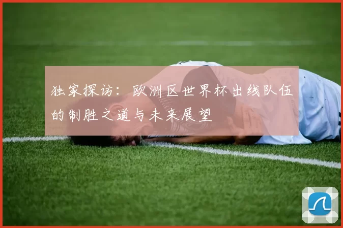 独家探访：欧洲区世界杯出线队伍的制胜之道与未来展望