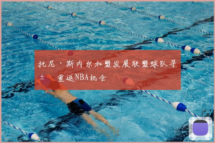 托尼·斯内尔加盟发展联盟球队寻求重返NBA机会