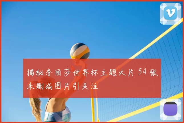 揭秘李丽莎世界杯主题大片 54 张未删减图片引关注
