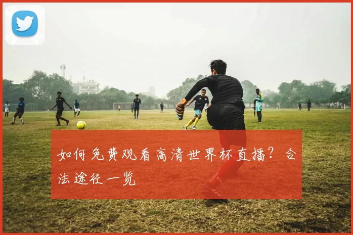 如何免费观看高清世界杯直播？合法途径一览
