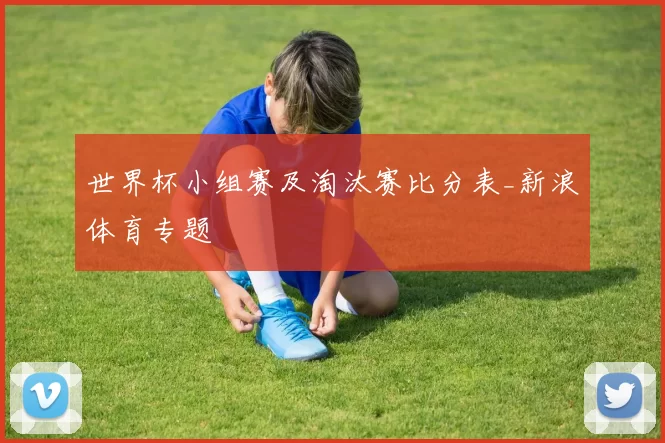 世界杯小组赛及淘汰赛比分表_新浪体育专题