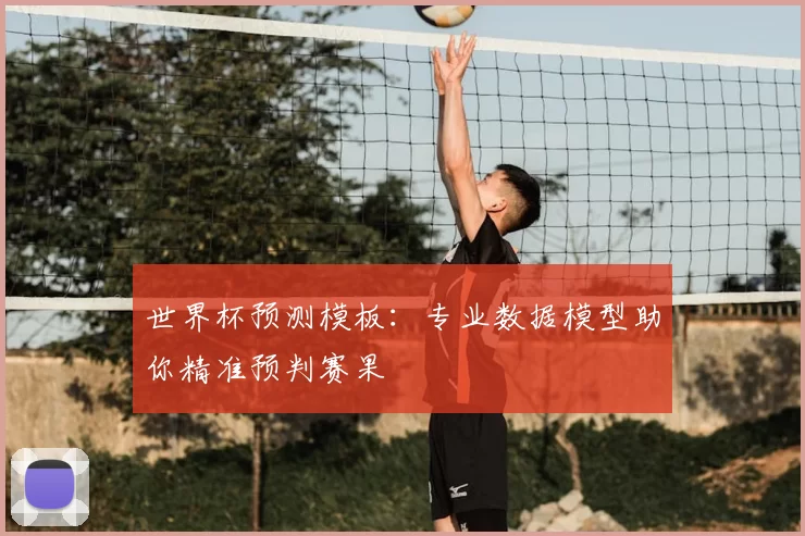 世界杯预测模板：专业数据模型助你精准预判赛果