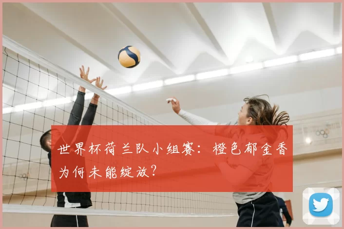 世界杯荷兰队小组赛：橙色郁金香为何未能绽放？