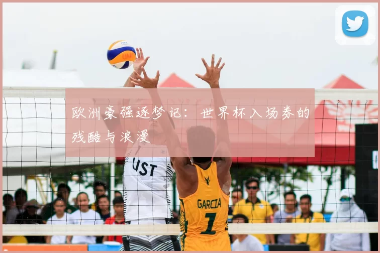 欧洲豪强逐梦记：世界杯入场券的残酷与浪漫