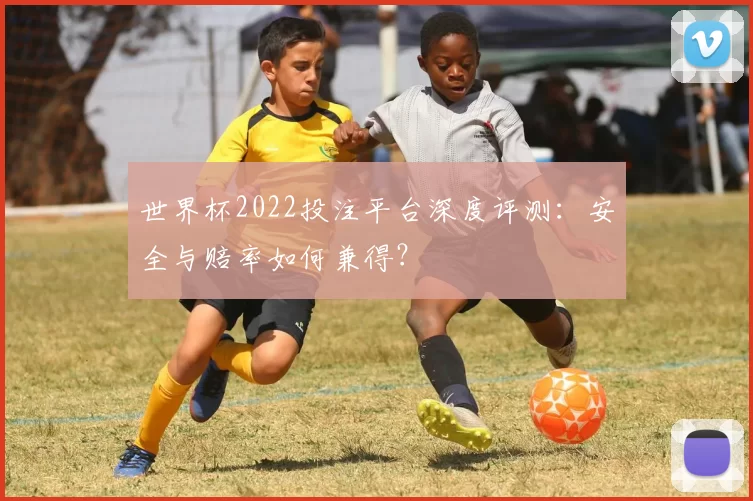 世界杯2022投注平台深度评测：安全与赔率如何兼得？