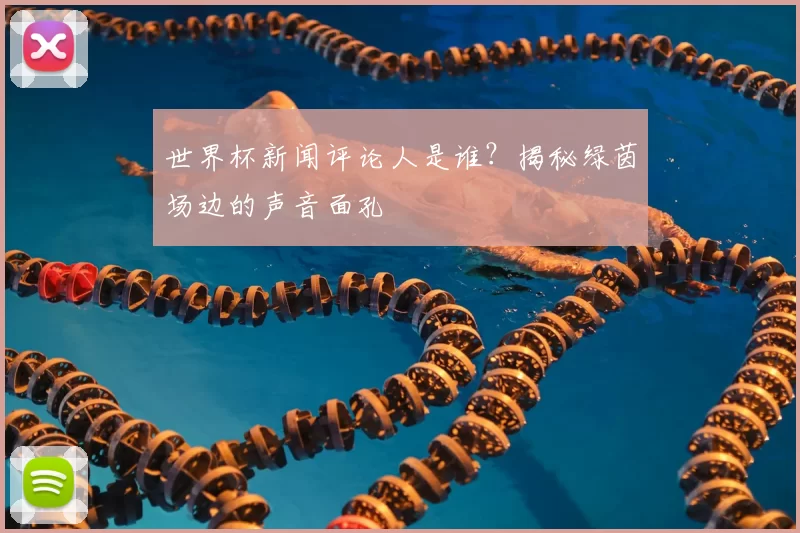 世界杯新闻评论人是谁?揭秘绿茵场边的声音面孔